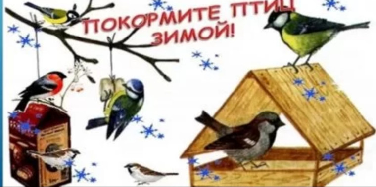 День птиц.